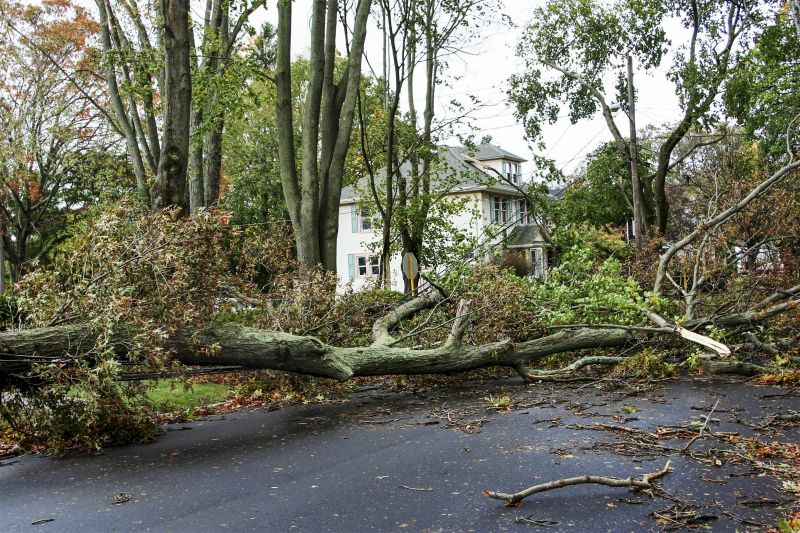Clearing Debris from Driveway